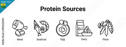 Various Protein Sources icon set: Meat, Seafood, Egg, Dairy, and Plant