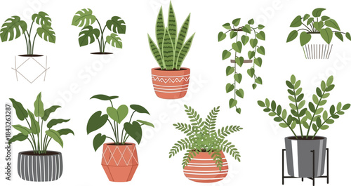Collection of various potted indoor plants in decorative containers on transparent background