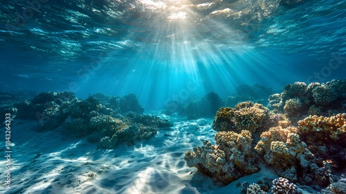 Fototapeta Naklejka Na Ścianę i Meble -  Sunlight filtering through clear ocean water illuminating a vibrant coral reef ecosystem.