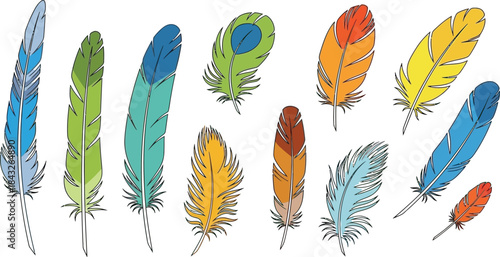 Colorful collection of various bird feathers watercolor style illustration on transparent background