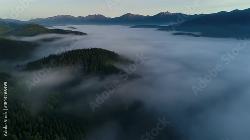 Wallpaper Mural Fog-filled valley, pine forest, and distant mountains in serene, atmospheric shot Torontodigital.ca