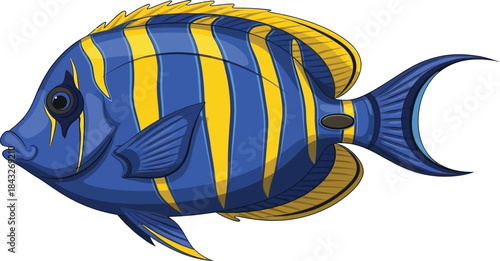 Detailed illustration of a royal blue angelfish with yellow stripes on transparent background