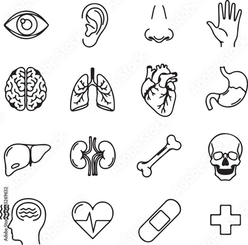Collection of anatomical organ icons hand drawn silhouette isolated on white background