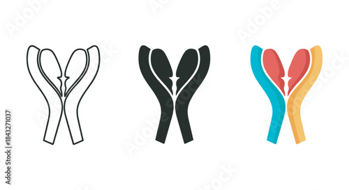 Three versions of a stylized letter or symbol in different colors and line styles