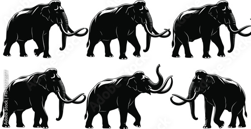 Collection of detailed elephant silhouettes featuring various walking poses and tusk positions, perfect for wildlife illustrations, animal graphics, nature designs, and vector artwork.