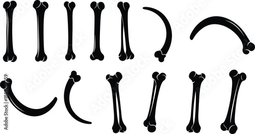 Collection of stylized bone illustrations featuring various shapes and curves, ideal for anatomy designs, Halloween graphics, educational materials, and creative vector projects.