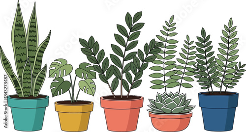 A collection of colorful potted indoor plants with diverse leaf shapes on transparent background