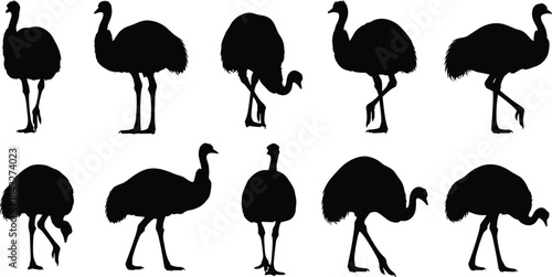 Silhouettes of emus in various standing and walking poses, showcasing distinctive large bird shapes for wildlife illustration, nature graphics, and educational design.