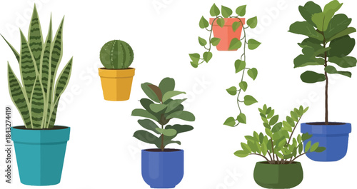 Variety of potted indoor plants including snake plant cactus and fiddle leaf fig on transparent background