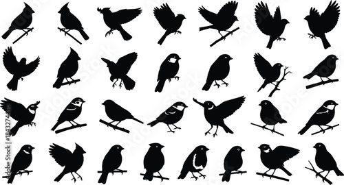 Silhouettes of various small birds in flying, perched, and standing poses, showcasing diverse avian shapes for nature, wildlife, illustration, and design use.