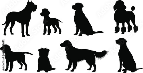 Silhouettes of various dog breeds in standing and sitting poses, showcasing diverse canine shapes for pet illustration, animal graphics, and design projects.