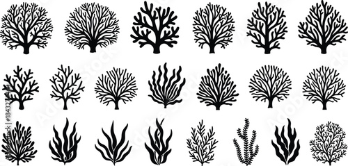 Silhouettes of various coral and seaweed shapes, illustrating diverse marine plant forms for ocean graphics, underwater nature designs, aquatic decoration, and biology visuals.