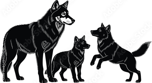 Detailed black vector illustration set of three wolves or dogs with expressive faces, representing a family pack, wild animals, nature, loyalty, and predator concepts.