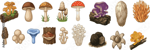 Mushroom icon set. Mushroom fresh wood and grass Illustration Fungi Organic Autumn Vegetarian Food.