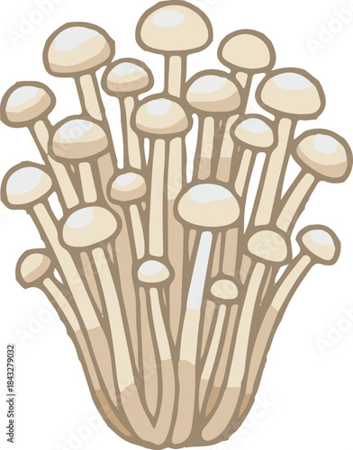 Mushrooms icon.Mushrooms  Illustration.mushroom; champignon; fungi; toadstool; stipe; vignetting; fungal