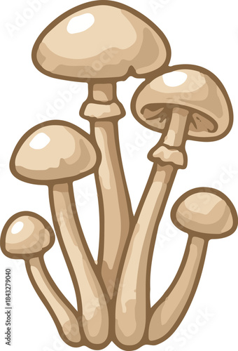 Mushrooms icon.Mushrooms Botany fresh fungal organicIllustration.mushroom; champignon; fungi; toadstool; stipe; vignetting; fungal