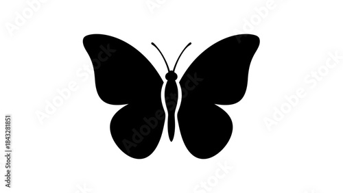 butterfly vector illustration