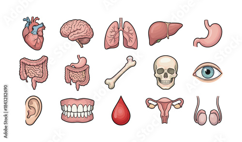 Human Anatomy Medical Organ Icon Collection
