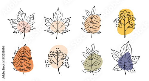 A beautiful collection of elegant autumn leaves and berries drawn in a minimal line art style with soft, abstract color shapes for a modern design.