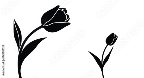 An elegant black and white silhouette of two tulip flowers on a clean white background, creating a simple, modern, and artistic floral design.