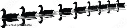 A serene black and white silhouette of a long line of Canada geese swimming peacefully on calm water, illustrating migration, unity, and nature's quiet elegance.