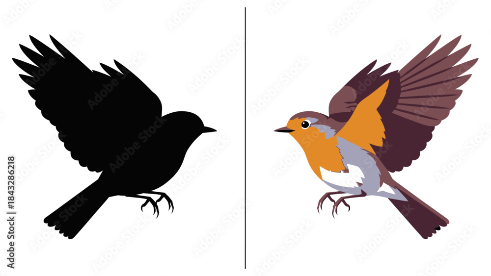 Fototapeta premium Robin bird silhouette and colorful graphic design flying with wings spread, isolated on white background, in two versions for comparison