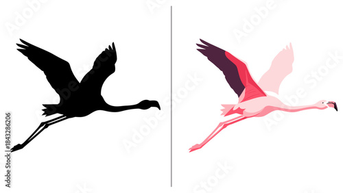 Flamingo bird silhouette and colorful graphic design flying with outstretched neck and legs, isolated on white background