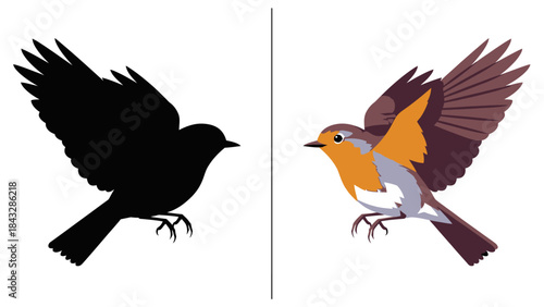 Robin bird silhouette and colorful graphic design flying with wings spread, isolated on white background, in two versions for comparison
