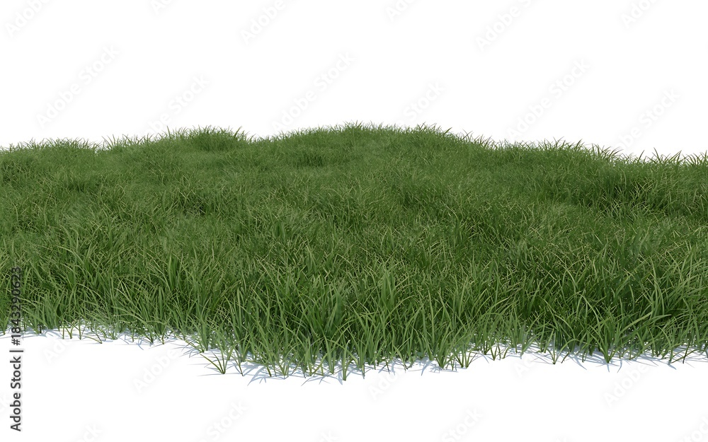 Fototapeta premium Patch of green grass isolated