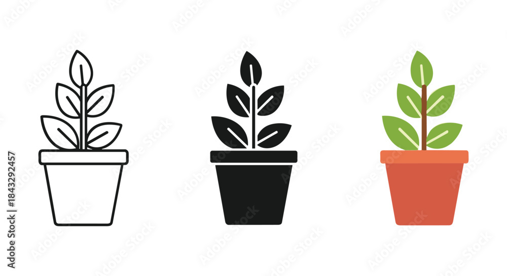 Fototapeta premium Potted plants in different styles and colors