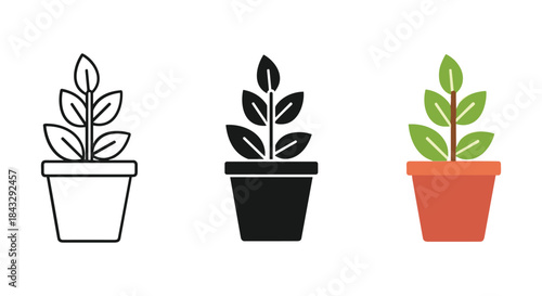 Potted plants in different styles and colors