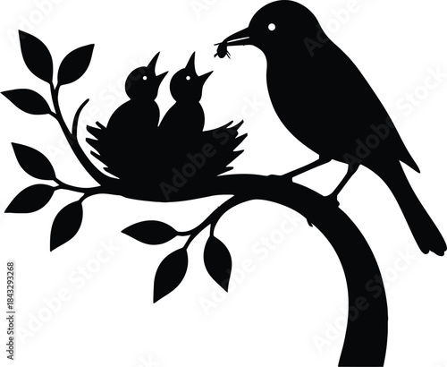 Silhouette of a bird feeding its chicks on a tree branch isolated on