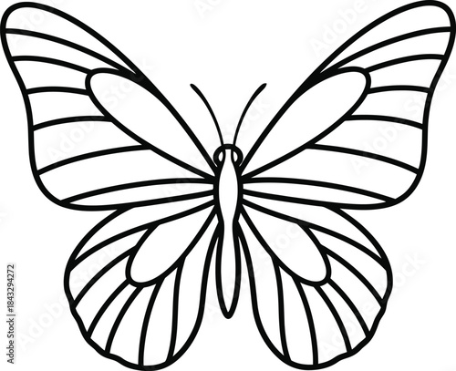 Detailed black and white illustration of a butterfly with symmetrical wings on transparent background