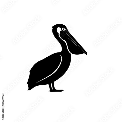 Black silhouette of a standing pelican bird