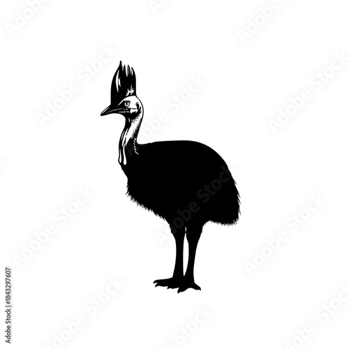 Silhouette of a Cassowary bird