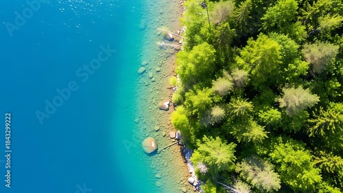 Captivating aerial of clear blue lake merging with lush green forest shoreline.