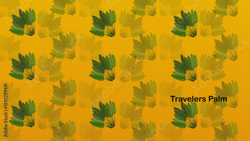 seamless pattern with traveler palm leaves