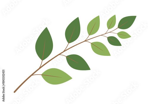 A minimalist illustration of a brown branch with varied green leaves on a white background