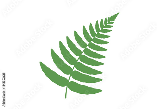 Green stylized fern frond isolated on a white background