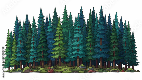 boreal forest dominated by tall conifer trees, cold climate conditions, layered pine silhouettes, and quiet natural scenery stretching across northern landscapes, white isolated sky