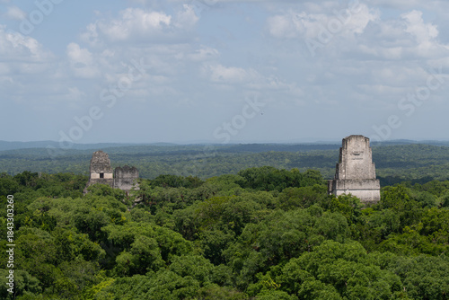Ancient Mayan Tikal Temple Pyramids Rising from Jungle Canopy Guatemala