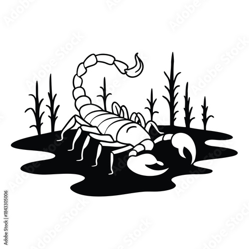 black and white fish