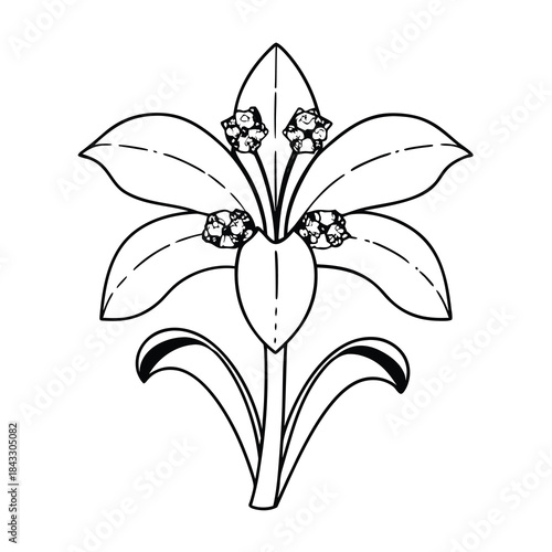 black and white flower