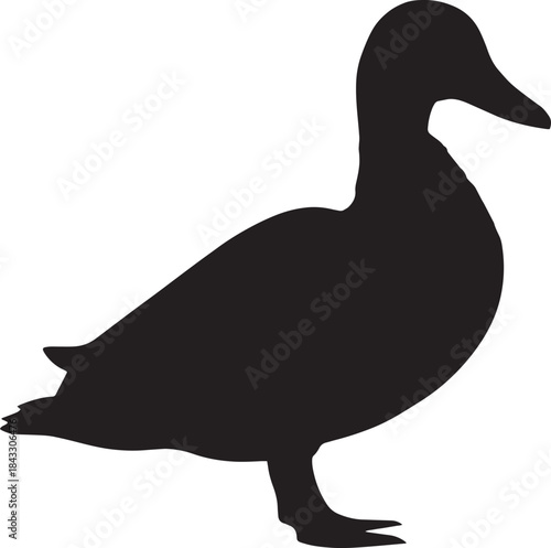 Silhouette of a Duck Bird Profile Nature Illustration Simple Duck Outline