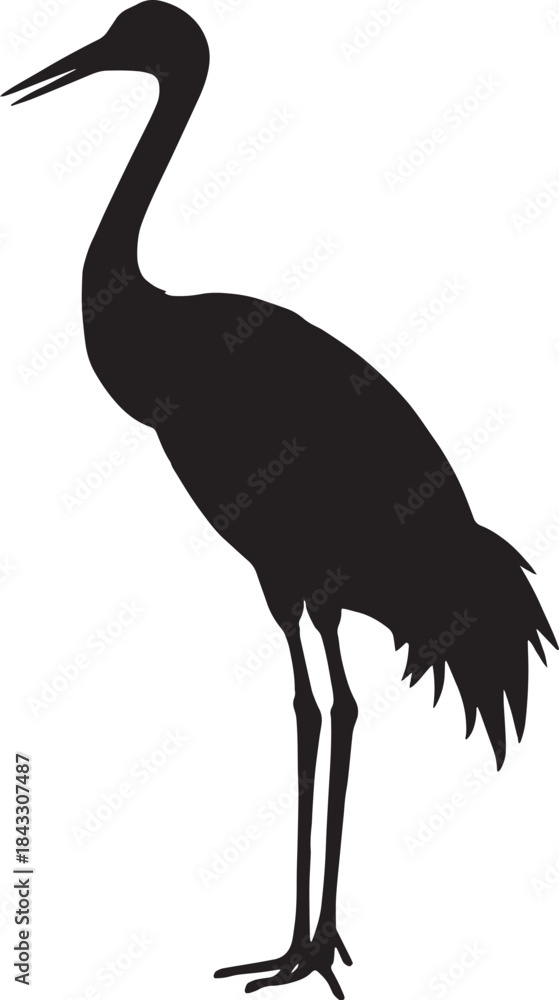 Fototapeta premium Silhouette of a tall bird standing elegantly isolated on a transparent background