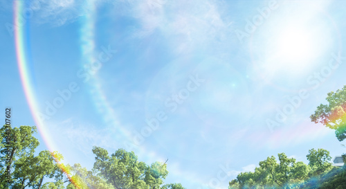春、初夏、夏の晴天の森の木とさわやかな新緑の葉に太陽の強い日差しと木漏れ日　レンズフレアと七色のゴースト　夏休み・ゴールデンウィーク・観光・旅行・アウトドア・洗濯のイメージ背景