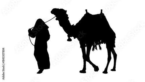 silhouette of a man and camel
