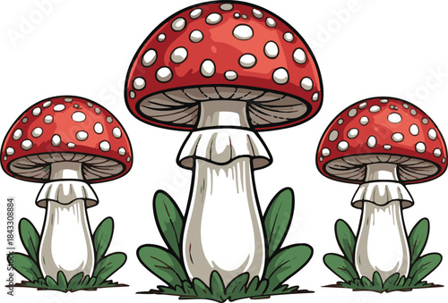 Comic mushroom set. Cartoon vector illustration. Detailed botanical drawing of red mushrooms with white spots among foliage. Mushroom set.