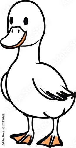White domestic duck with yellow beak standing on a white background and swimming in the snow is a waterfowl bird often found on a farm