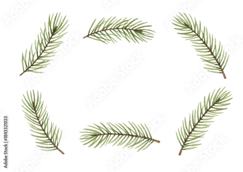 Watercolor-style fir tree branch illustration